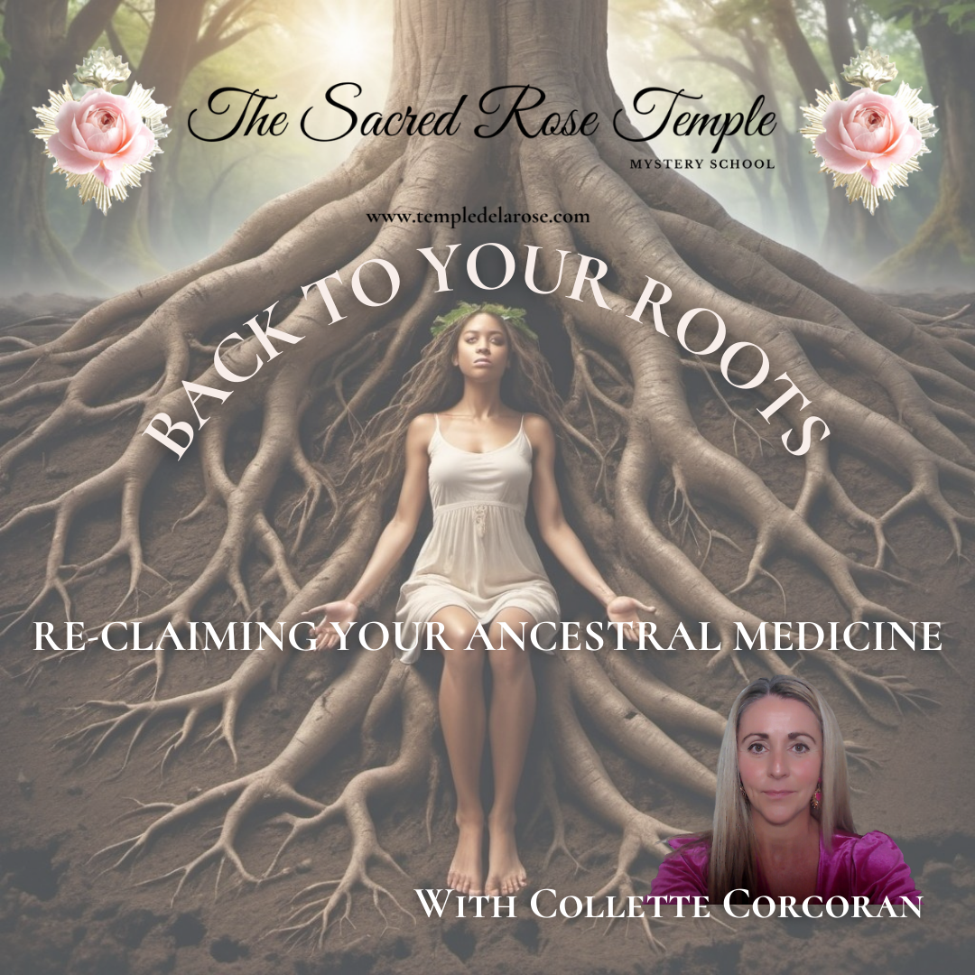 BACK TO YOUR ROOTS